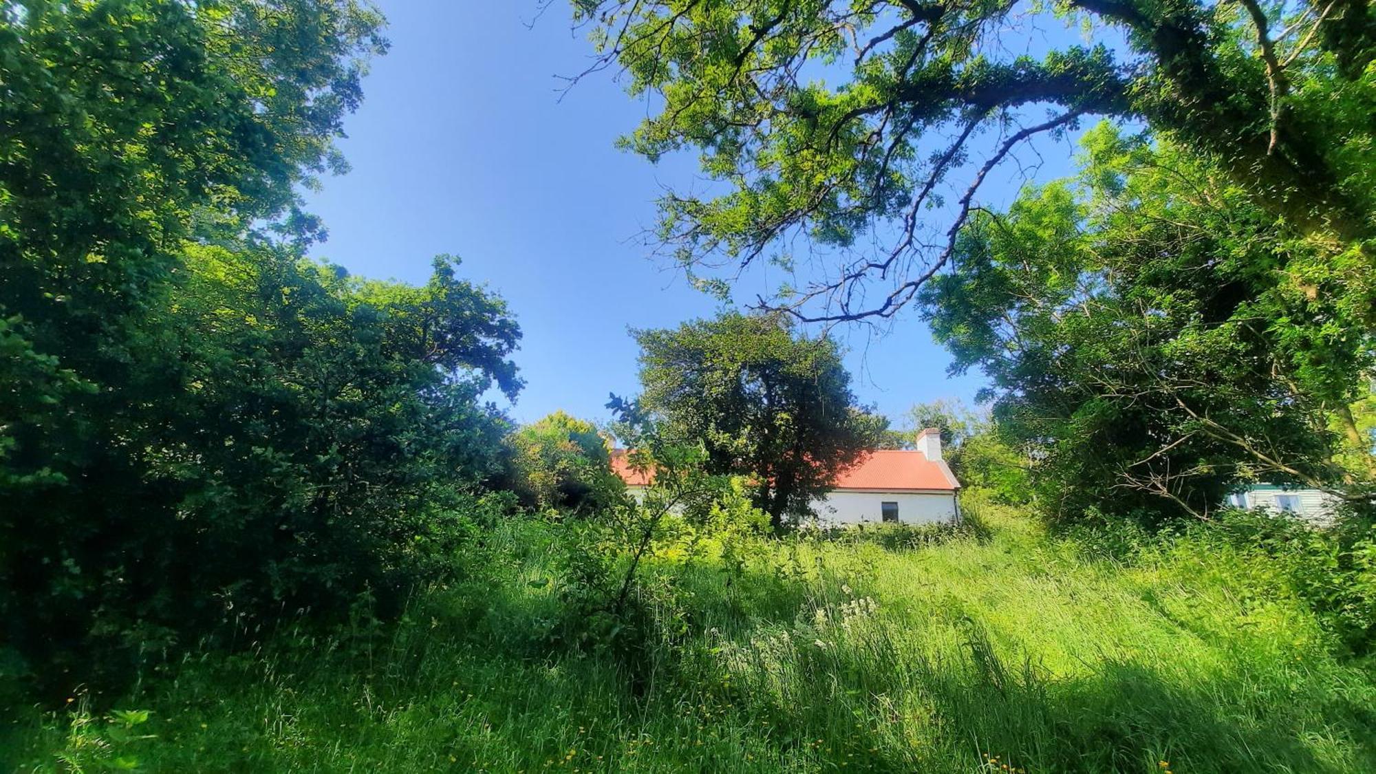 -Going Back In Time- 200 Year Old Farmhouse Creegh ภายนอก รูปภาพ
